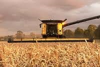 farm yield dispersion chart